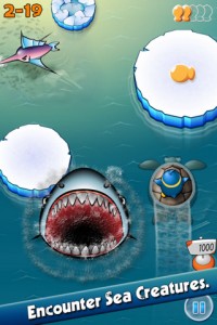 Air Penguin Shark